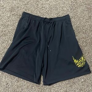 Mens Nike DriFit Shorts